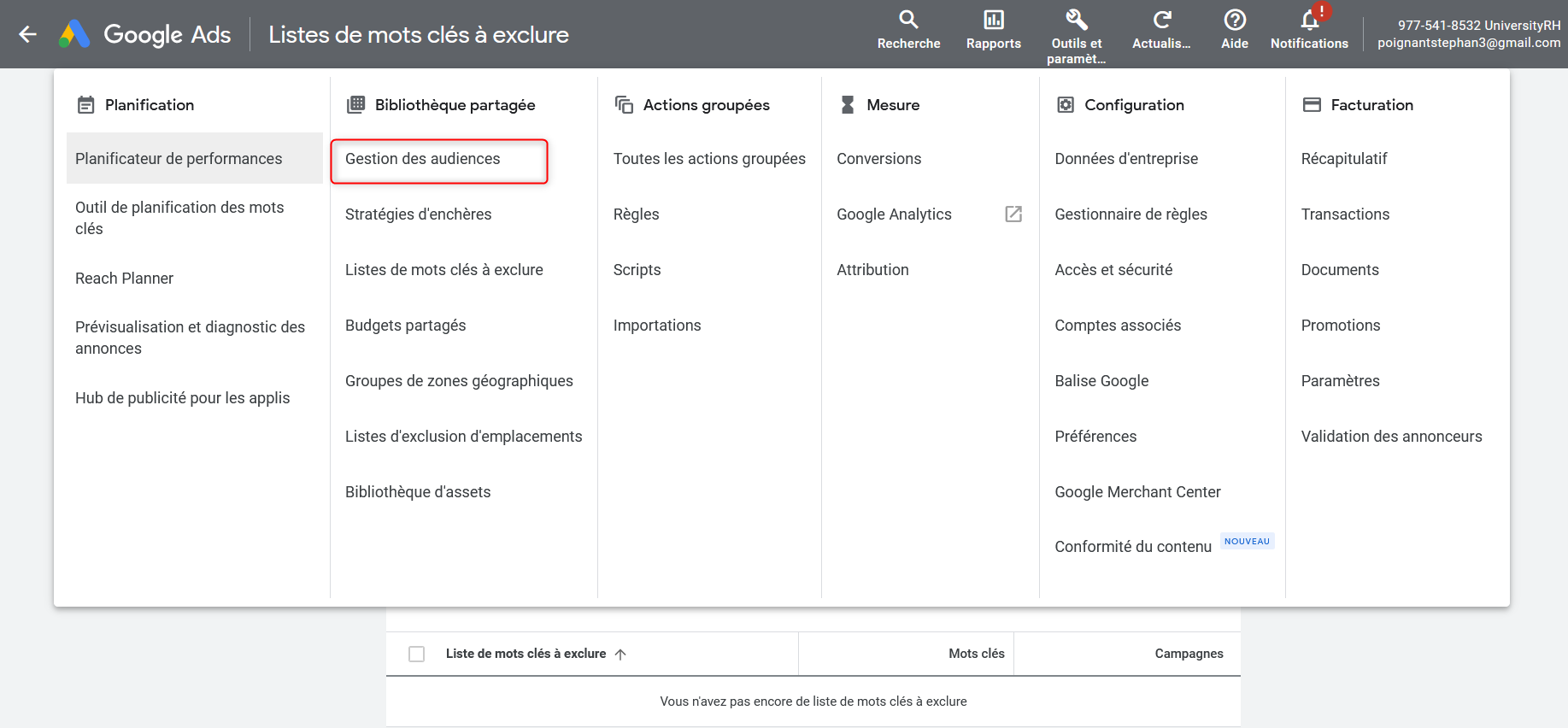 audience sur Google Ads